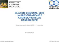 ELEZIONI COMUNALI 2020 LA PRESENTAZIONE E AMMISSIONE DELLE CANDIDATURE - CONSIGLIO REGIONALE DEL VENETO