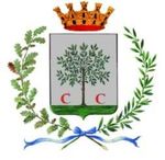 CONCESSIONE DEL SERVIZIO DI RISTORAZIONE SCOLASTICA - CAPITOLATO SPECIALE - COMUNE DI CEREA - Comune di ...