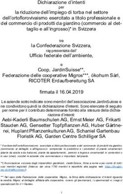 Dichiarazione d'intenti - admin.ch