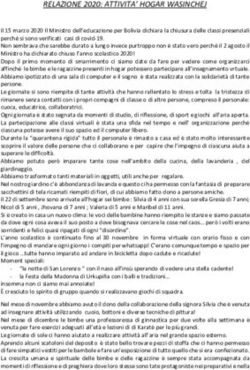 RELAZIONE 2020: ATTIVITA' HOGAR WASINCHEJ