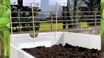 MONITORAGGIO MEDIA PIERREL - PROGETTO RIORTO CON LEGAMBIENTE - PIERREL SPA