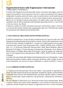 Opportunit&agrave; di lavoro nelle Organizzazioni Internazionali - Stefano Baldi