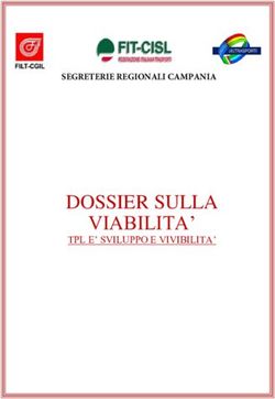 DOSSIER SULLA VIABILITA' - SEGRETERIE REGIONALI CAMPANIA - TPL E' SVILUPPO E VIVIBILITA' - Il Desk