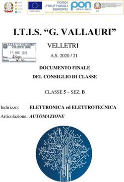 I.T.I.S. "G. VALLAURI" - VELLETRI DOCUMENTO FINALE DEL CONSIGLIO DI CLASSE