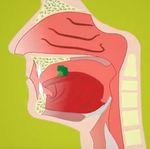 LA DISFAGIA - Moodle@Units