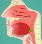 LA DISFAGIA - Moodle@Units