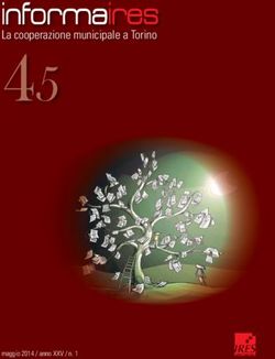 45 informaires La cooperazione municipale a Torino - Byterfly