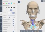 ANATOMY.TV - USARE CREARE IMMAGINI - a cura di Luisa Banzato - e-learning unipd