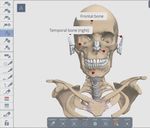 ANATOMY.TV - USARE CREARE IMMAGINI - a cura di Luisa Banzato - e-learning unipd