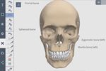 ANATOMY.TV - USARE CREARE IMMAGINI - a cura di Luisa Banzato - e-learning unipd