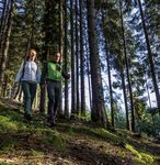 Guida vacanze Escursioni in bici, camminate e tanto altro - Alto Adige