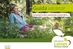 Guida vacanze Escursioni in bici, camminate e tanto altro - Alto Adige