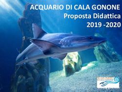 ACQUARIO DI CALA GONONE - Proposta Didattica 2019 -2020 - Acquario Calagonone
