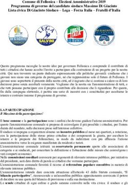 Comune di Follonica - Elezioni Amministrative 2019 Programma di governo del candidato sindaco Massimo Di Giacinto Lista civica Di Giacinto Sindaco ...