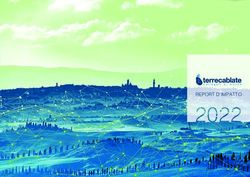 REPORT D'IMPATTO - Terrecablate