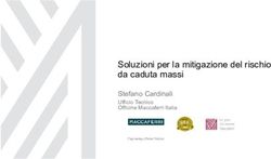 Soluzioni per la mitigazione del rischio da caduta massi - Stefano Cardinali Ufficio Tecnico Officine Maccaferri Italia