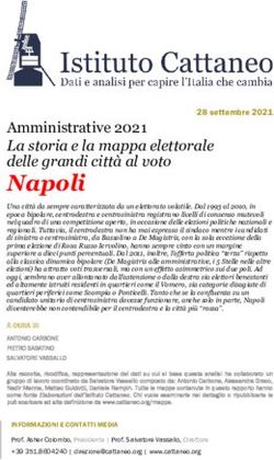 Napoli Amministrative 2021 La storia e la mappa elettorale delle grandi citt&agrave; al voto - ASTRID