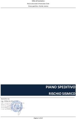 PIANO SPEDITIVO RISCHIO SISMICO - Comune di ...