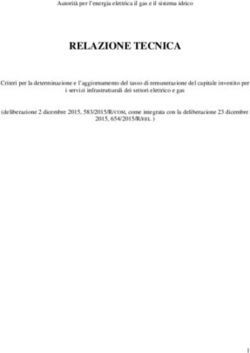 RELAZIONE TECNICA - ARERA