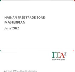HAINAN FREE TRADE ZONE MASTERPLAN - June 2020