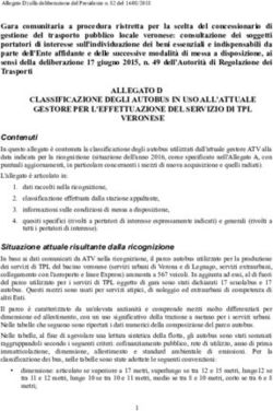 ALLEGATO D CLASSIFICAZIONE DEGLI AUTOBUS IN USO ALL'ATTUALE GESTORE PER L'EFFETTUAZIONE DEL SERVIZIO DI TPL - FTP