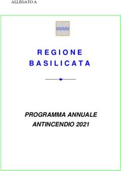 PROGRAMMA ANNUALE ANTINCENDIO 2021 - ALLEGATO A - Protezione Civile ...