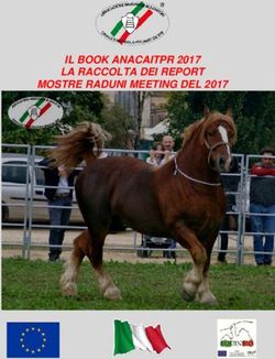 IL BOOK ANACAITPR 2017 LA RACCOLTA DEI REPORT MOSTRE RADUNI MEETING DEL 2017 - la raccolta completa dei report mostre meetin ed ...