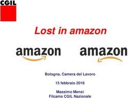 Lost in amazon Bologna, Camera del Lavoro 15 febbraio 2018 Massimo Mensi Filcams CGIL Nazionale