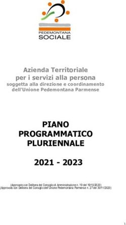 PIANO PROGRAMMATICO PLURIENNALE 2021 - 2023 - Unione ...