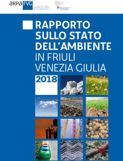 RAPPORTO SULLO STATO DELL'AMBIENTE - IN FRIULI VENEZIA GIULIA - Arpa FVG