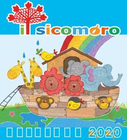 CATALOGO 2020 - Il Sicomoro Editore