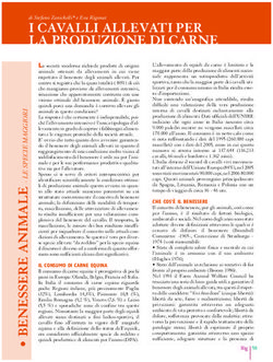 I CAVALLI ALLEVATI PER LA PRODUZIONE DI CARNE