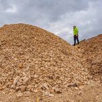 DI ENERGIA SIAMO PIENI - Br&uuml;ning Group