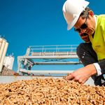 DI ENERGIA SIAMO PIENI - Br&uuml;ning Group