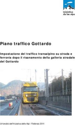 Piano traffico Gottardo - Impostazione del traffico transalpino su strada e ferrovia dopo il risanamento della galleria stradale del Gottardo ...