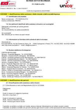 SCHEDA DATI DI SICUREZZA - P11 FIOR DI LOTO - Ica System