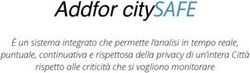 Addfor city SAFE &Egrave; un sistema integrato che permette l'analisi in tempo reale, puntuale, continuativa e rispettosa della privacy di un'intera ...