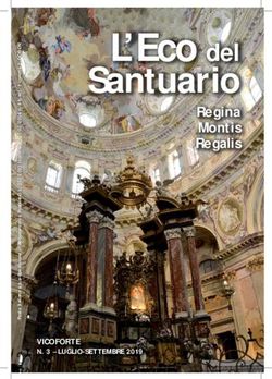 Santuario L'Eco del Regina Montis Regalis - Santuario di Vicoforte