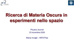 Ricerca di Materia Oscura in esperimenti nello spazio - Physics Journal 23 novembre 2020 Marco Incagli - INFN Pisa