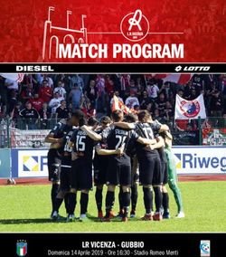 LR VICENZA - GUBBIO Domenica 14 Aprile 2019 - Ore 16:30 - Stadio Romeo Menti - lr vicenza virtus