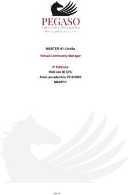 MAUP17 MASTER di I Livello Virtual Community Manager 2&ordf; Edizione 1500 ore 60 CFU Anno accademico 2019/2020 - Virtual Community Manager 2&ordf; ...