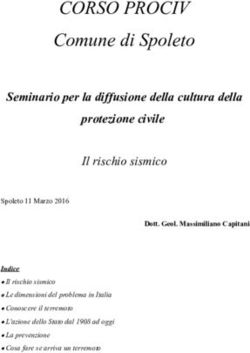 CORSO PROCIV Comune di Spoleto - Seminario per la diffusione della cultura della protezione civile