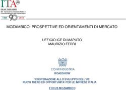 MOZAMBICO: PROSPETTIVE ED ORIENTAMENTI DI MERCATO UFFICIO ICE DI MAPUTO MAURIZIO FERRI