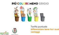 Tariffa puntuale differenziare bene ha i suoi vantaggi - GEOVEST
