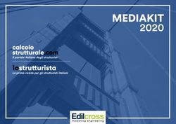 MEDIAKIT 2020 Il portale italiano degli strutturisti La prima rivista per gli strutturisti italiani - Calcolostrutturale.com