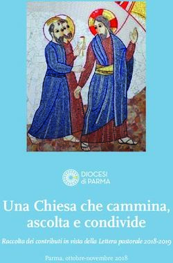 Una Chiesa che cammina, ascolta e condivide - Raccolta dei contributi in vista della Lettera pastorale 2018-2019 - Diocesi di ...