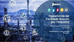 Opportunità dai Certificati Bianchi per l'Industria - Nuove tipologie di interventi incentivabili