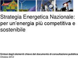 Strategia Energetica Nazionale: per un'energia più competitiva e sostenibile - Sintesi degli elementi chiave del documento di consultazione ...