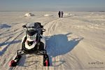 EPIFANIA IN LAPPONIA CON GLI HUSKY - VIVI LA TUA AVVENTURA IN UN ALLEVAMENTO DI HUSKY - LappOne