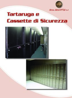 Tartaruga e Cassette di Sicurezza